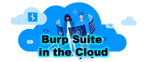 Lee más sobre el artículo Un mes de Burp Suite en la nube: ¿cómo lo utilizan los equipos de AppSec?
