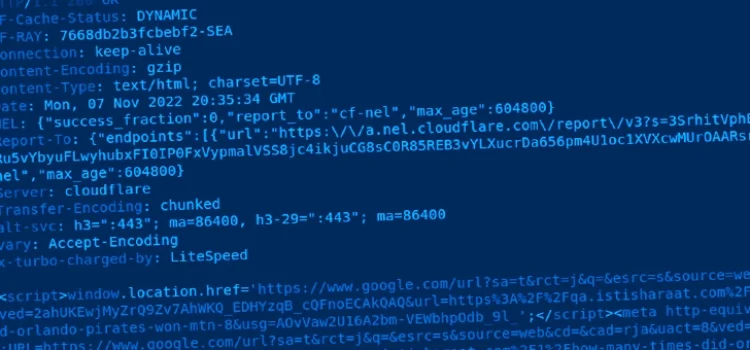 wordpress-code wordpress-code