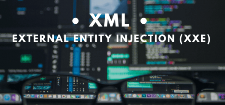 xml-768×328 xml-768x328